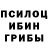 Псилоцибиновые грибы Psilocybe Sergey Storm