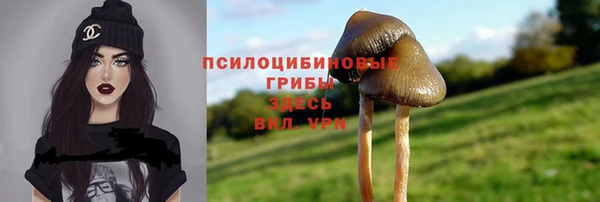 дурь Покров