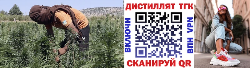 mega ТОР  Алдан  Дистиллят ТГК жижа  как найти наркотики 