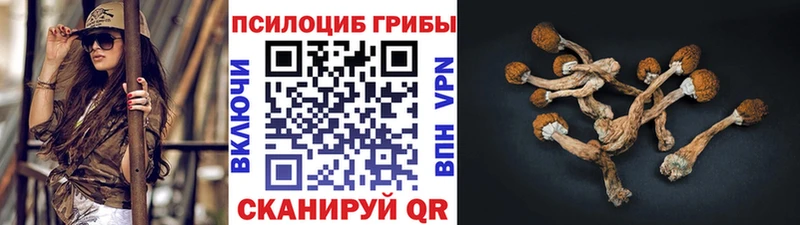Галлюциногенные грибы MAGIC MUSHROOMS  Алдан 